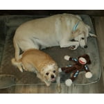 Image 3 of customer photos