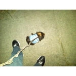 Image 1 of customer photos