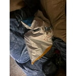 Image 7 of customer photos