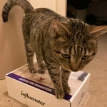 Image 1 of customer photos