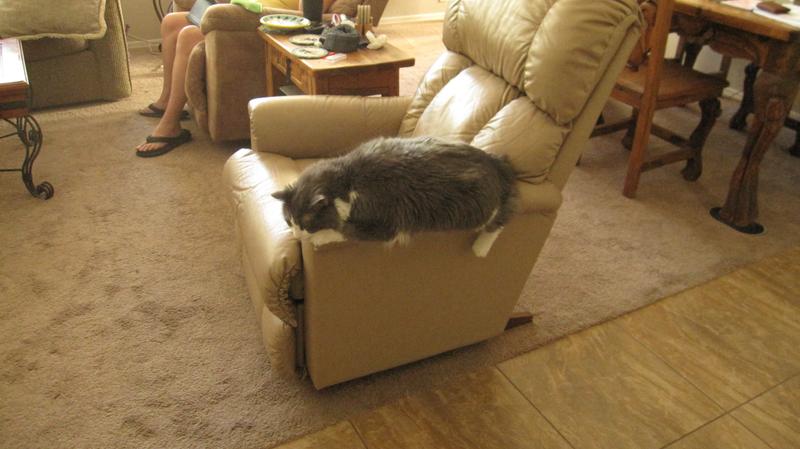 Images from past customers