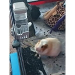 Image 2 of customer photos