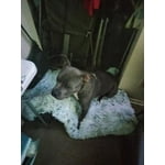 Image 6 of customer photos