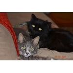 Image 5 of customer photos