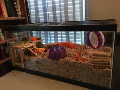 40 gallon hamster cage