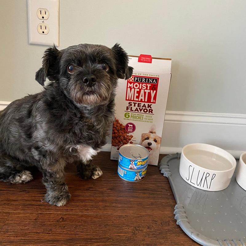 walmart purina moist and meaty