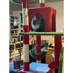 Image 3 of customer photos