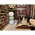 Image 3 of customer photos