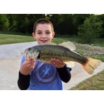 Image 5 of customer photos