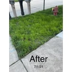 Image 3 of customer photos