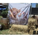 Image 2 of customer photos