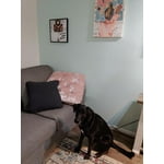 Image 4 of customer photos