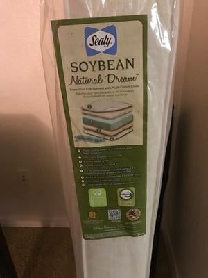 sealy soybean natural dream crib mattress