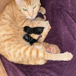 Image 2 of customer photos