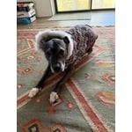 Image 7 of customer photos