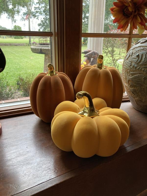 Member's Mark Flocked Pumpkins, Set of 3 - Samsclub.com