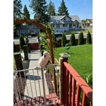 Image 2 of customer photos