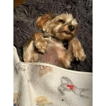 Image 7 of customer photos