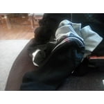 Image 6 of customer photos