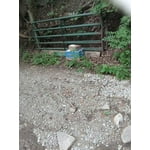 Image 3 of customer photos