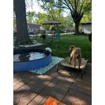 Image 1 of customer photos