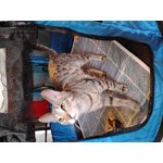 Image 5 of customer photos