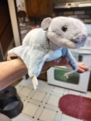 Douglas Cuddle Toys Squeek Sugar Aliante #4123 &ndash; Peluche Animale Con Squeek
