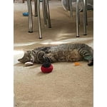 Image 6 of customer photos