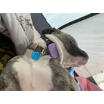 Image 6 of customer photos