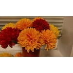 Image 7 of customer photos