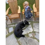 Image 1 of customer photos