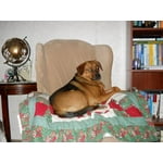 Image 2 of customer photos