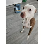 Image 6 of customer photos