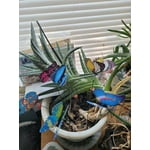 Image 4 of customer photos