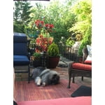 Image 2 of customer photos