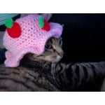 Image 5 of customer photos