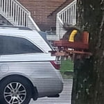 Image 6 of customer photos