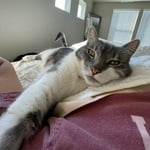 Image 5 of customer photos