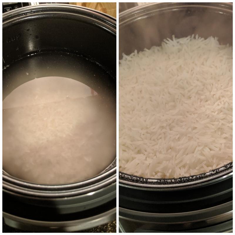 Instant™ Zest™ 8-cup Rice and Grain Cooker