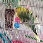 Image 4 of customer photos