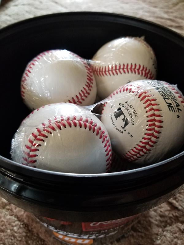 Official League Recreational Use Baseballs in Mesh Bag of 12 Kids Adults White 