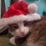 Image 7 of customer photos