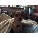 Image 2 of customer photos