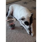 Image 6 of customer photos