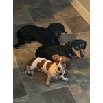 Image 3 of customer photos