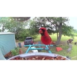 Image 1 of customer photos