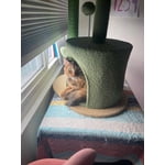 Image 7 of customer photos