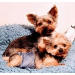 Image 3 of customer photos