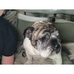 Image 6 of customer photos