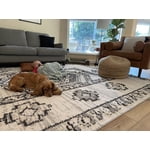 Image 5 of customer photos